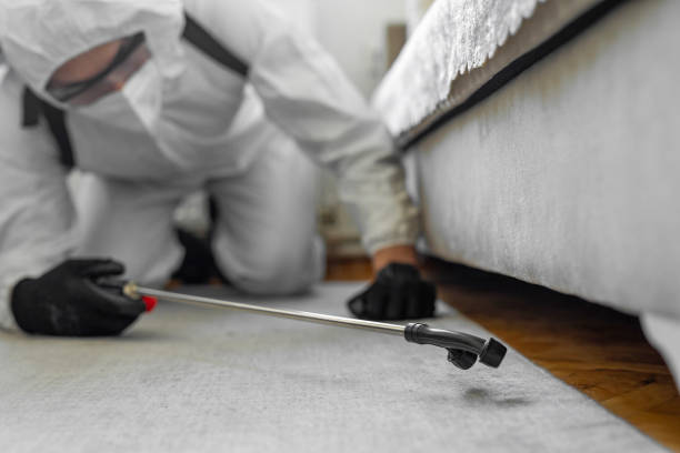 Professional Pest Control technician working in Willards, MD